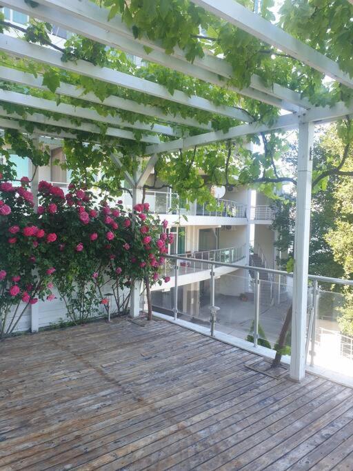 Studio Silver Terace With Sea View For 4 Person Бяла Екстер'єр фото